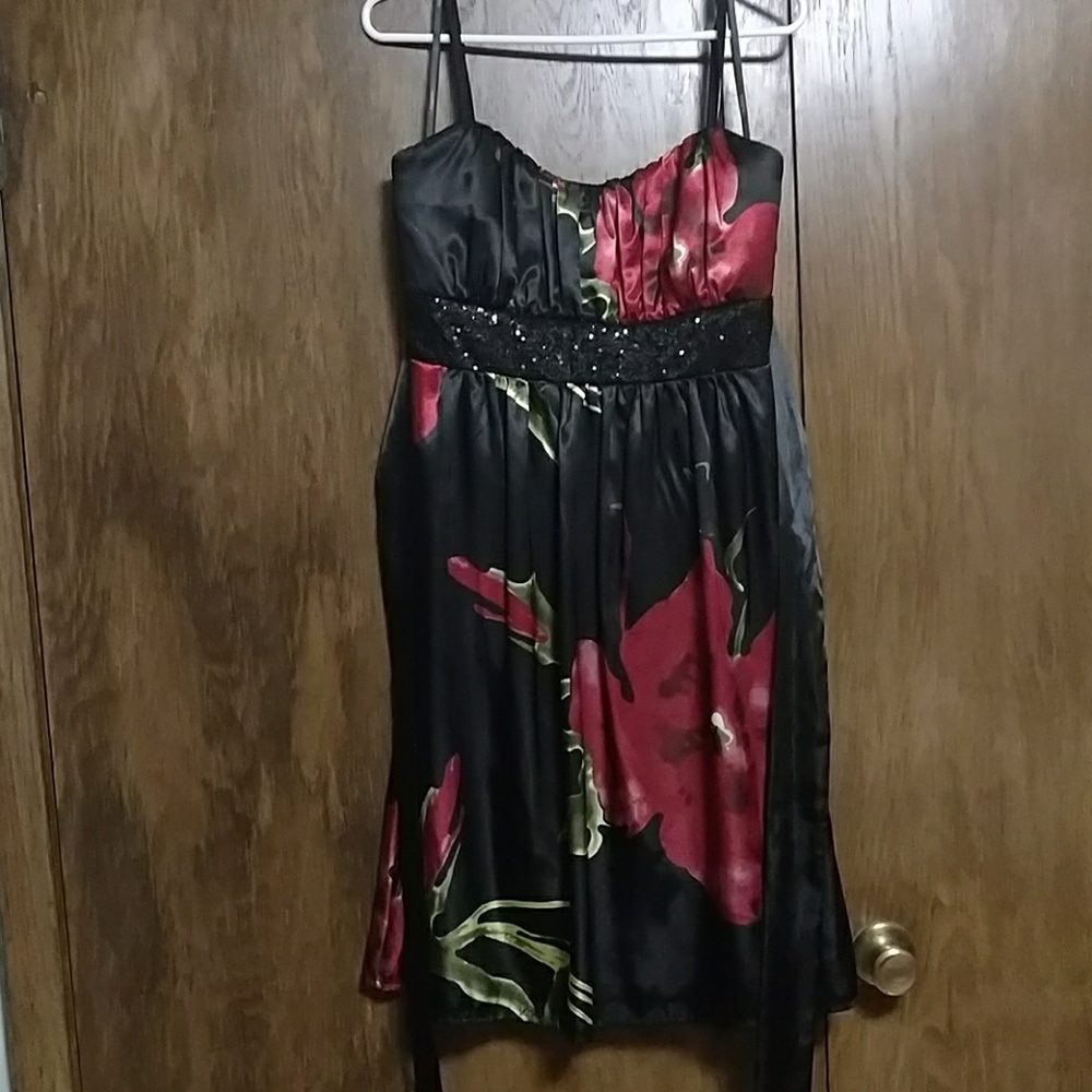 NWT Roulette dress size 14